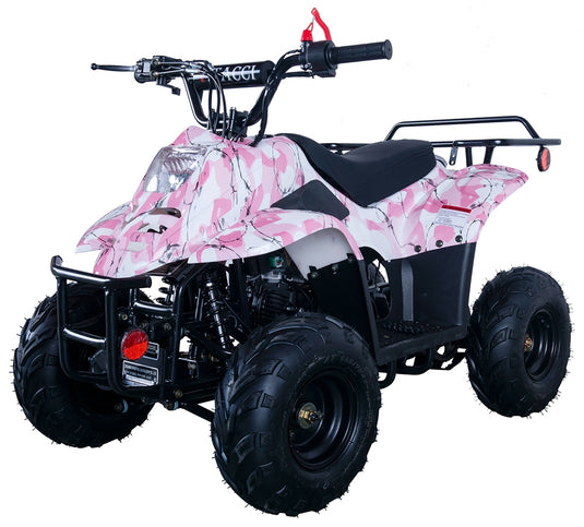 hawk 110cc atv kids