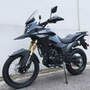 cross country 300 Dirt Bike/ Street Bike EFI Gas Powered Motorcycle