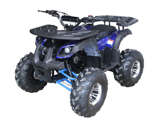 125cc atv ryder 8