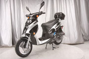BAHAMA 49cc (QT-6) Scooter Gas - AAA Motorsports 